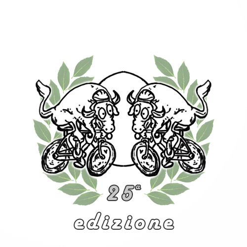 25a Edizione 4h MTB Lodrino