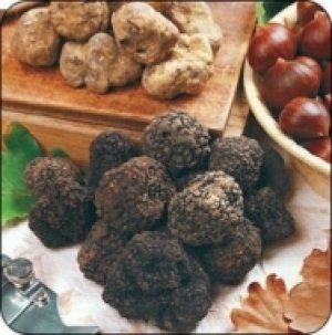 12.10.2018 - 83ma edizione della Fiera Internazionale del Tartufo