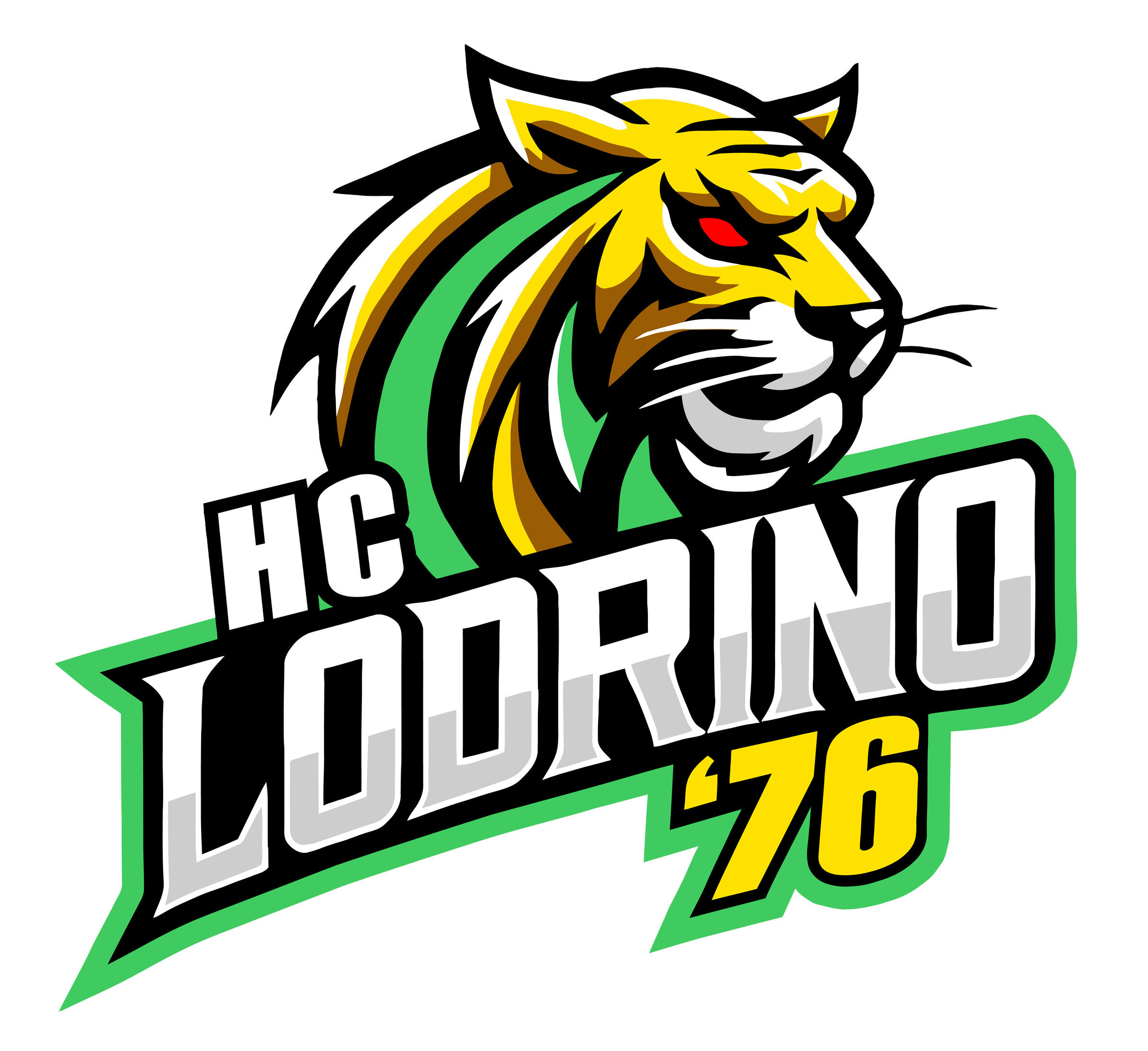 Storia dell'HC Lodrino '76